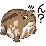 カエル大好き！その8（アメフクラガエル）
