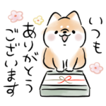 ほんわかしばいぬ