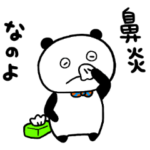 鼻炎のぱんだ