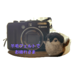 　動物のカワイイスタンプだよ！