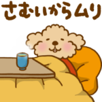 トイプーのぷう太郎