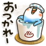 冬・インコちゃん