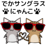 でかサングラスにゃんこの可愛いパリピ生活