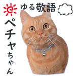 ペチャちゃん猫写真スタンプ３ゆる敬語