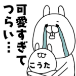 こうたが可愛すぎてつらい