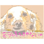 シナちゃん♪待つ編