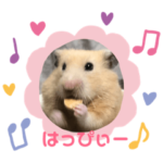 キンクマのペコ