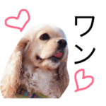 キャンディーとミルク