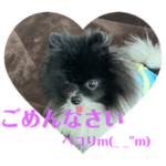 ペコちゃん（ポメラニアン）スタンプ