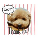 我が家のペットちゃん達