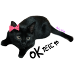 マイペットニャン