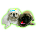 ペチャ＆ペコ