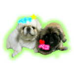ペチャ＆ペコ