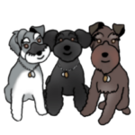 ミニシュナのコタロー＆ラブリ＆レオ