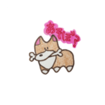 コーギーのふーちゃん イラストVer.