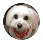 マルプーペコちゃん