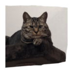 ぺこさんももちゃん