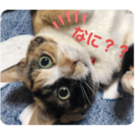 エンちゃん&ペコさん