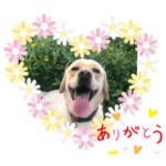 ペコちゃんの時間