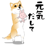 激しく尻尾をふる犬