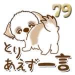 シーズー犬 79『まずは一言』