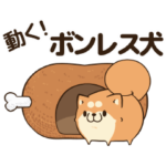 ボンレス犬 む～ぶ