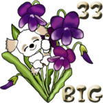 シーズー犬33『日常に花を！』