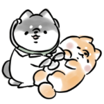 健康を気づかう犬