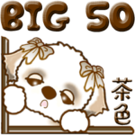 シーズー犬 50『茶色』