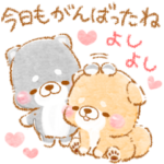 やさしい❤️いやしばいぬ❤️24