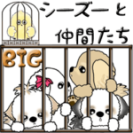 シーズー犬と仲間たち