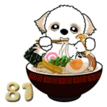 シーズー犬 81『ラーメン』