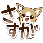 チワワ　犬スタンプ