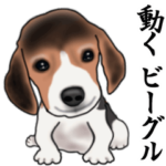 動く！ビーグル犬