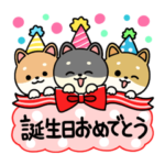 柴犬の誕生日＆お祝い＆ありがとう