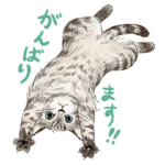 敬語で伝える猫たちのスタンプ