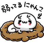 愛しすぎて大好きすぎる。弱ってるにゃんこ