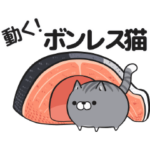 ボンレス猫 む～ぶ