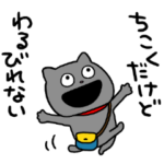 わるめのねこの1日