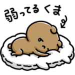 愛しすぎて大好きすぎる。弱ってるくま