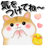家族の連絡・ハムスター「ハムたん」