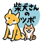 柴犬さんのツボ vol.5 オトナの気づかい編