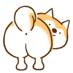 柴ちん3 柴犬と散歩