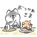 ほんわか黒しば