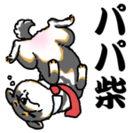 柴犬スタンプ20～パパ柴～