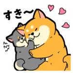 むっちりでかわいい柴犬の気持ち