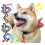 毎日使える、柴犬こはるのスタンプ