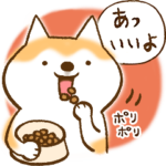 柴ちん2 柴犬とおしゃべり