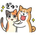 柴犬どんぐり三毛猫たんぽぽ