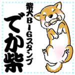 柴犬スタンプ24～でか柴～赤柴BIGスタンプ